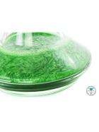 Shisha Bubble 50g - Farbpulver Velvet Green
