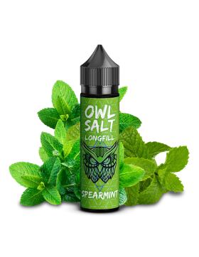 OWL Salt 10ml Longfill - Spearmint